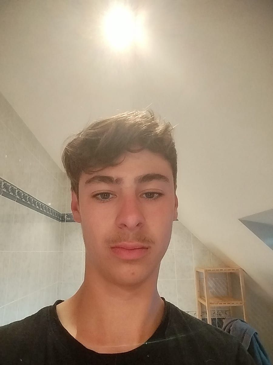 Profil von Ilir